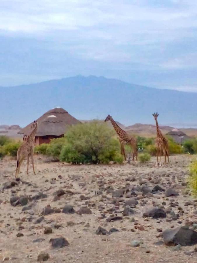 Africa Safari Lake Natron Camping Mtowabaga Exterior photo