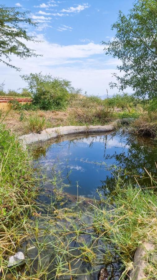 Africa Safari Lake Natron Camping Mtowabaga Exterior photo